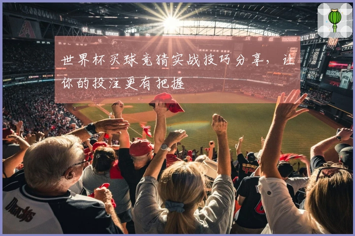 世界杯买球竞猜实战技巧分享，让你的投注更有把握