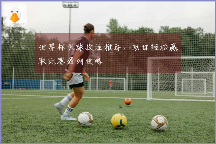 世界杯买球投注推荐，助你轻松赢取比赛盈利攻略