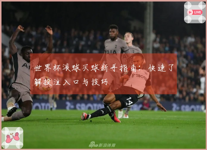 世界杯滚球买球新手指南：快速了解投注入口与技巧
