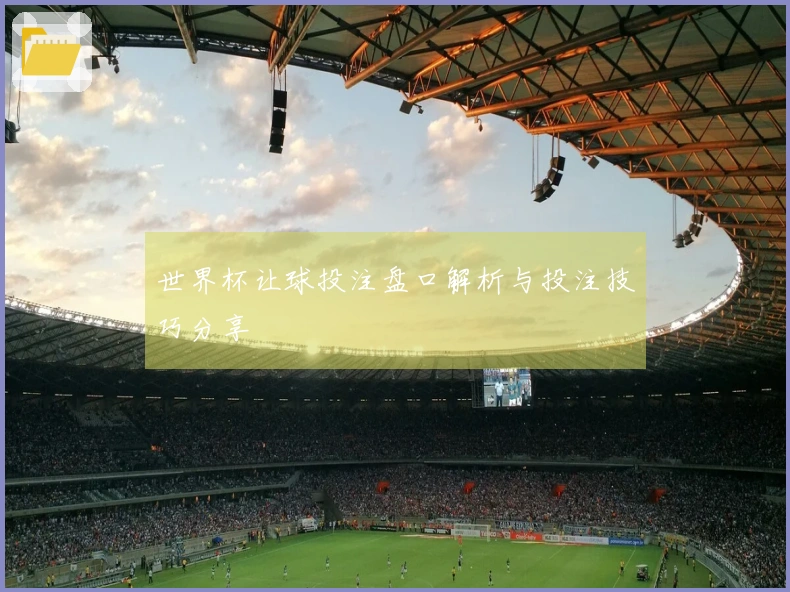 世界杯让球投注盘口解析与投注技巧分享