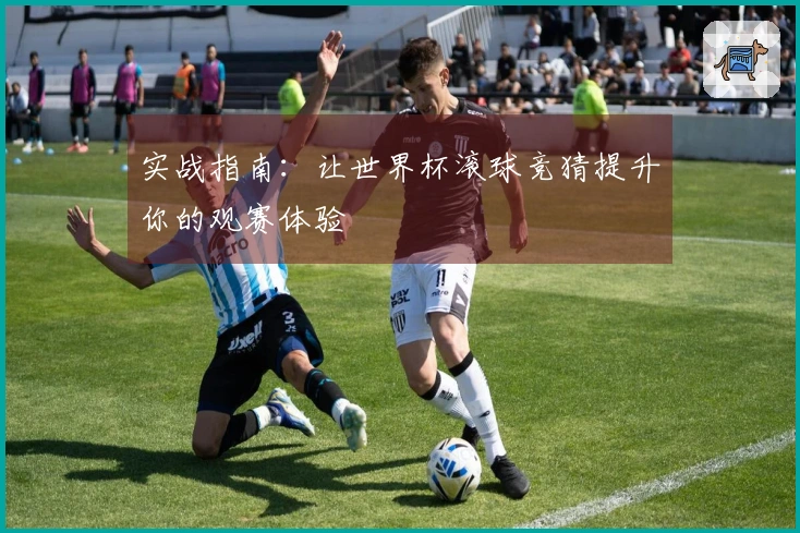 实战指南：让世界杯滚球竞猜提升你的观赛体验