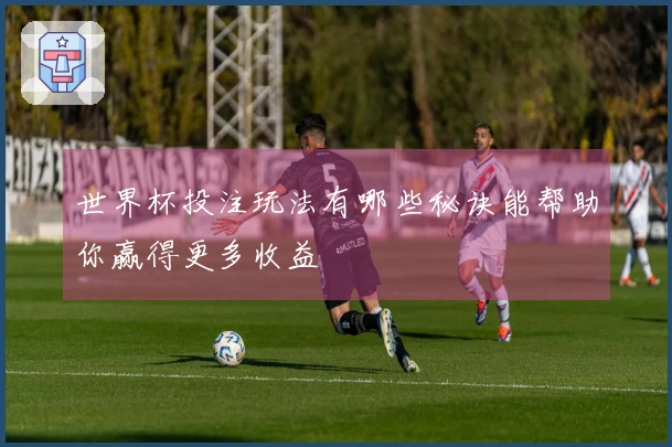 世界杯投注玩法有哪些秘诀能帮助你赢得更多收益