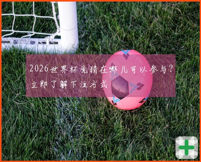 2026世界杯竞猜在哪儿可以参与？立即了解下注方式
