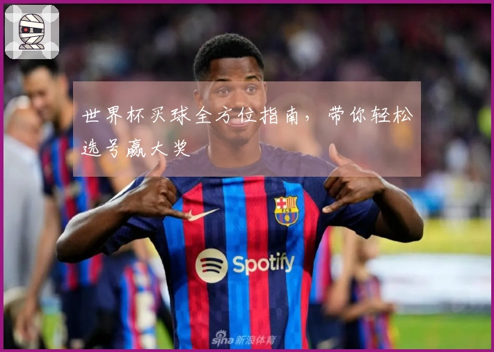 世界杯买球全方位指南，带你轻松选号赢大奖