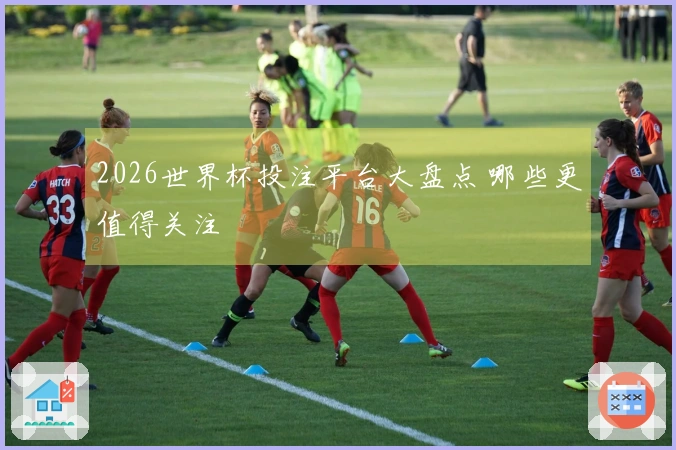2026世界杯投注平台大盘点 哪些更值得关注