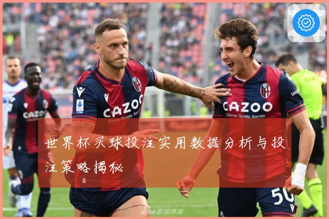 世界杯买球投注实用数据分析与投注策略揭秘