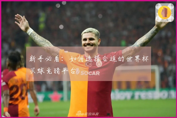 新手必看：如何选择合适的世界杯买球竞猜平台