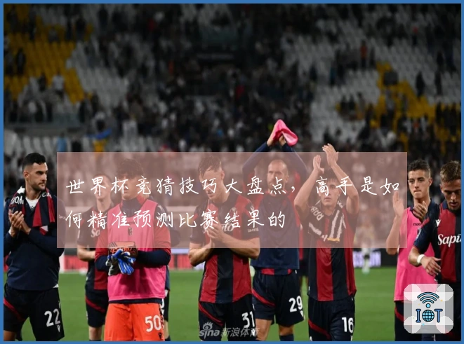 世界杯竞猜技巧大盘点，高手是如何精准预测比赛结果的