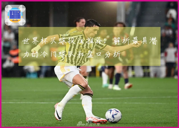 世界杯买球投注推荐：解析最具潜力的冷门球队和盘口分析