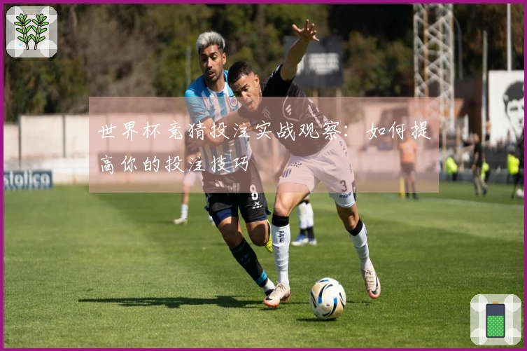 世界杯竞猜投注实战观察：如何提高你的投注技巧
