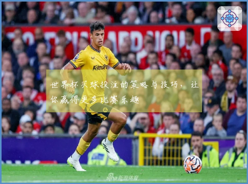 世界杯买球投注的策略与技巧，让你赢得更多比赛乐趣