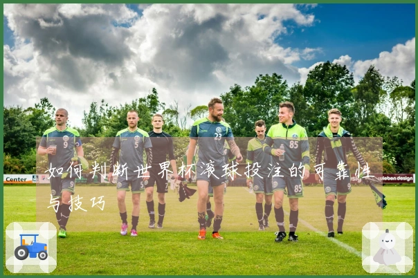 如何判断世界杯滚球投注的可靠性与技巧