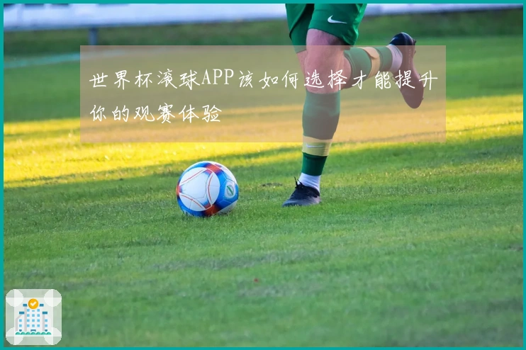 世界杯滚球APP该如何选择才能提升你的观赛体验