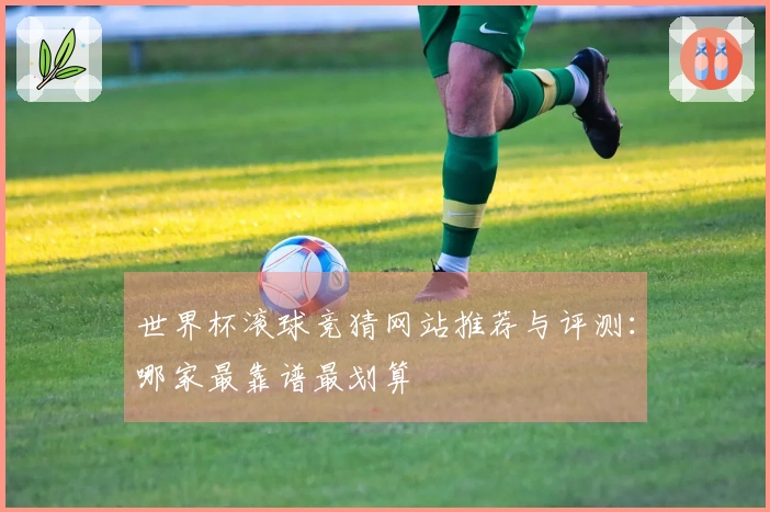 世界杯滚球竞猜网站推荐与评测：哪家最靠谱最划算