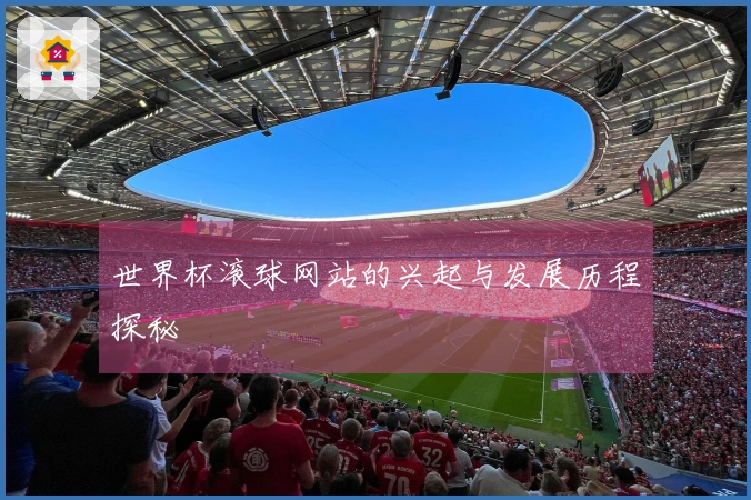 世界杯滚球网站的兴起与发展历程探秘